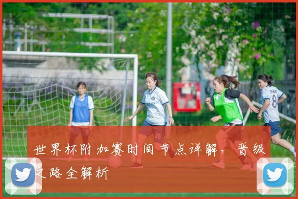 世界杯附加赛时间节点详解，晋级之路全解析
