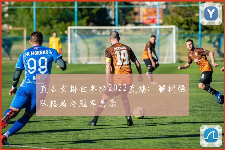 直击女排世界杯2022直播：解析强队格局与冠军悬念