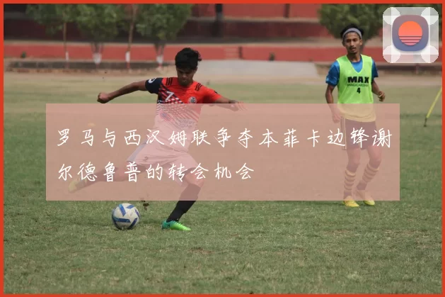 罗马与西汉姆联争夺本菲卡边锋谢尔德鲁普的转会机会