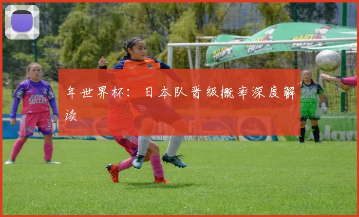 年世界杯：日本队晋级概率深度解读