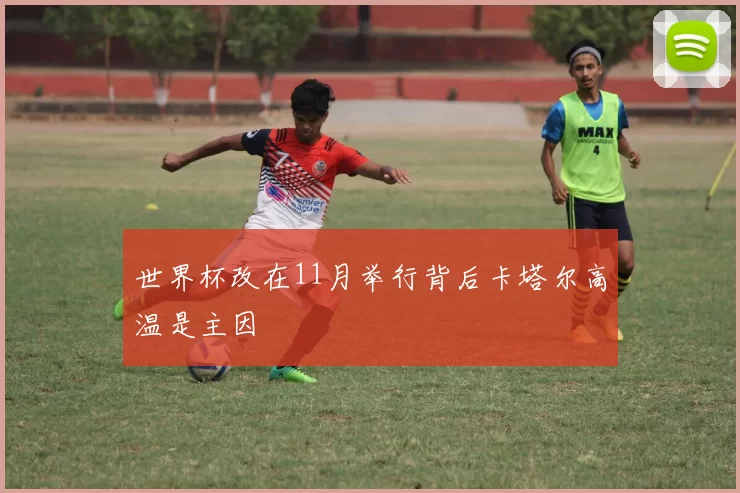 世界杯改在11月举行背后卡塔尔高温是主因