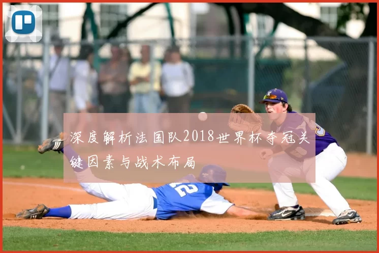 深度解析法国队2018世界杯夺冠关键因素与战术布局