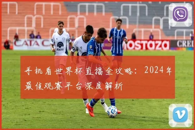 手机看世界杯直播全攻略：2024年最佳观赛平台深度解析