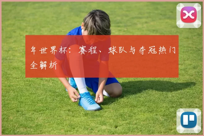 年世界杯：赛程、球队与夺冠热门全解析