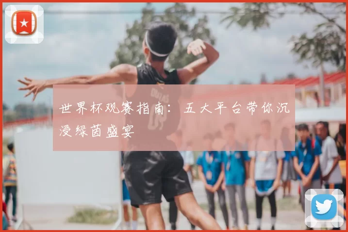世界杯观赛指南：五大平台带你沉浸绿茵盛宴