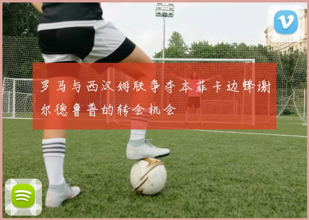 罗马与西汉姆联争夺本菲卡边锋谢尔德鲁普的转会机会