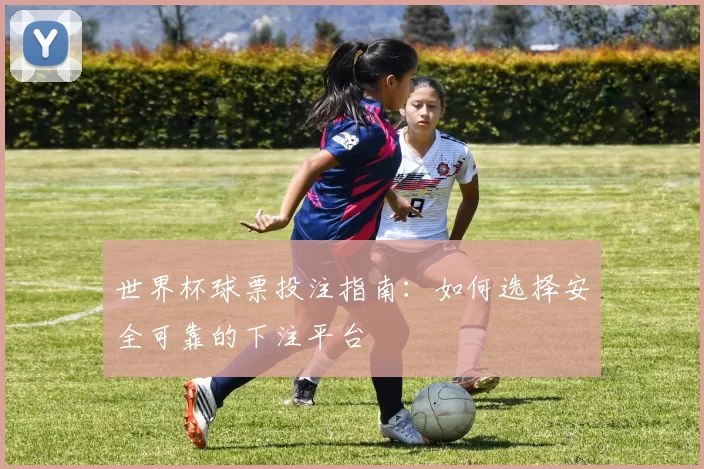世界杯球票投注指南：如何选择安全可靠的下注平台