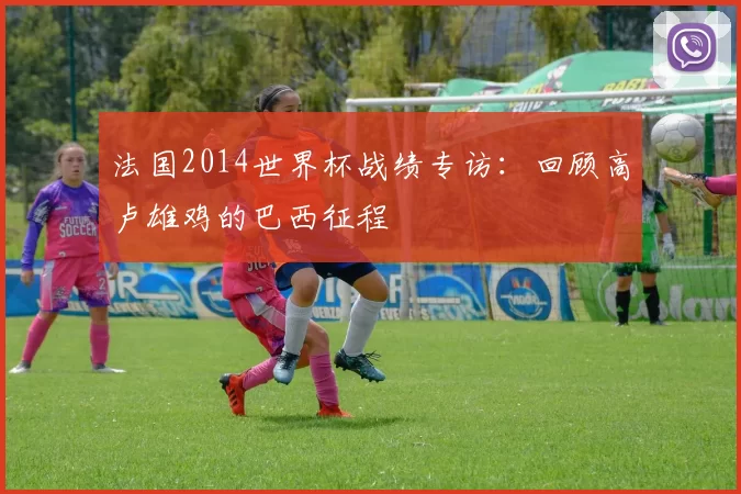 法国2014世界杯战绩专访：回顾高卢雄鸡的巴西征程